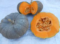 Тыква Мраморная