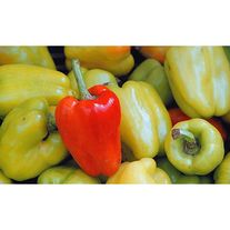 Перец сладкий