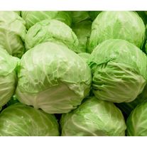 Капуста белокочанная