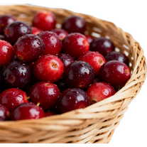 Клюква свежая 1 кг