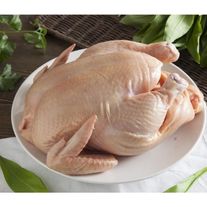 Мясо (курица)