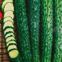 Огурец Изумрудный поток