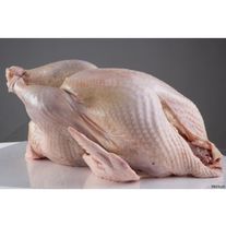 Индейка тушка