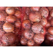 Лук репчатый