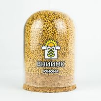 Горчица желтая яровая ВНИИМК, сорт "ЮНОНА" (ЭС)