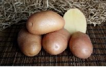 Семена картофеля Ажур, элита