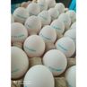 Яйца куриные отборной категории СО